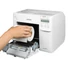 Kép 4/4 - EPSON COLORWORKS C3500 SZÍNES CÍMKENYOMTATÓ